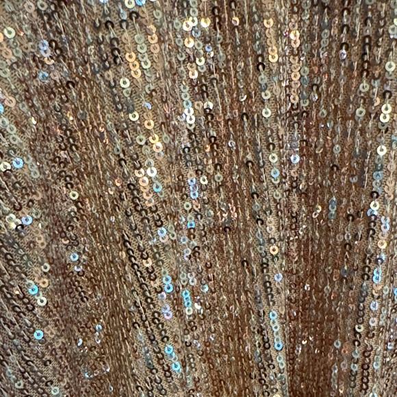 Emerald Sundae Rose Gold Sequin Dress - Picture 2 of 4